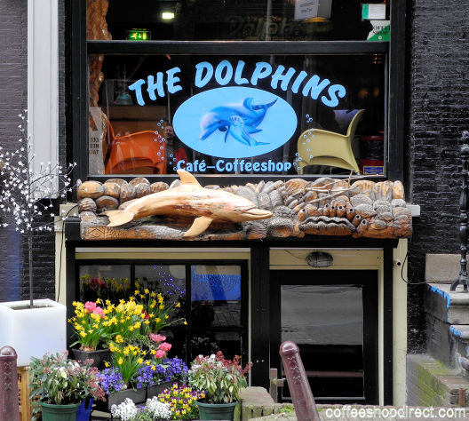The Dolphins Coffee Shop, Amsterdam The Dolphins Coffee Shop, Amsterdam