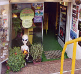 The Magic Mushroom Gallery