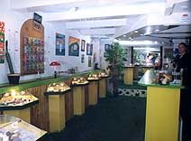 The Magic Mushroom Gallery